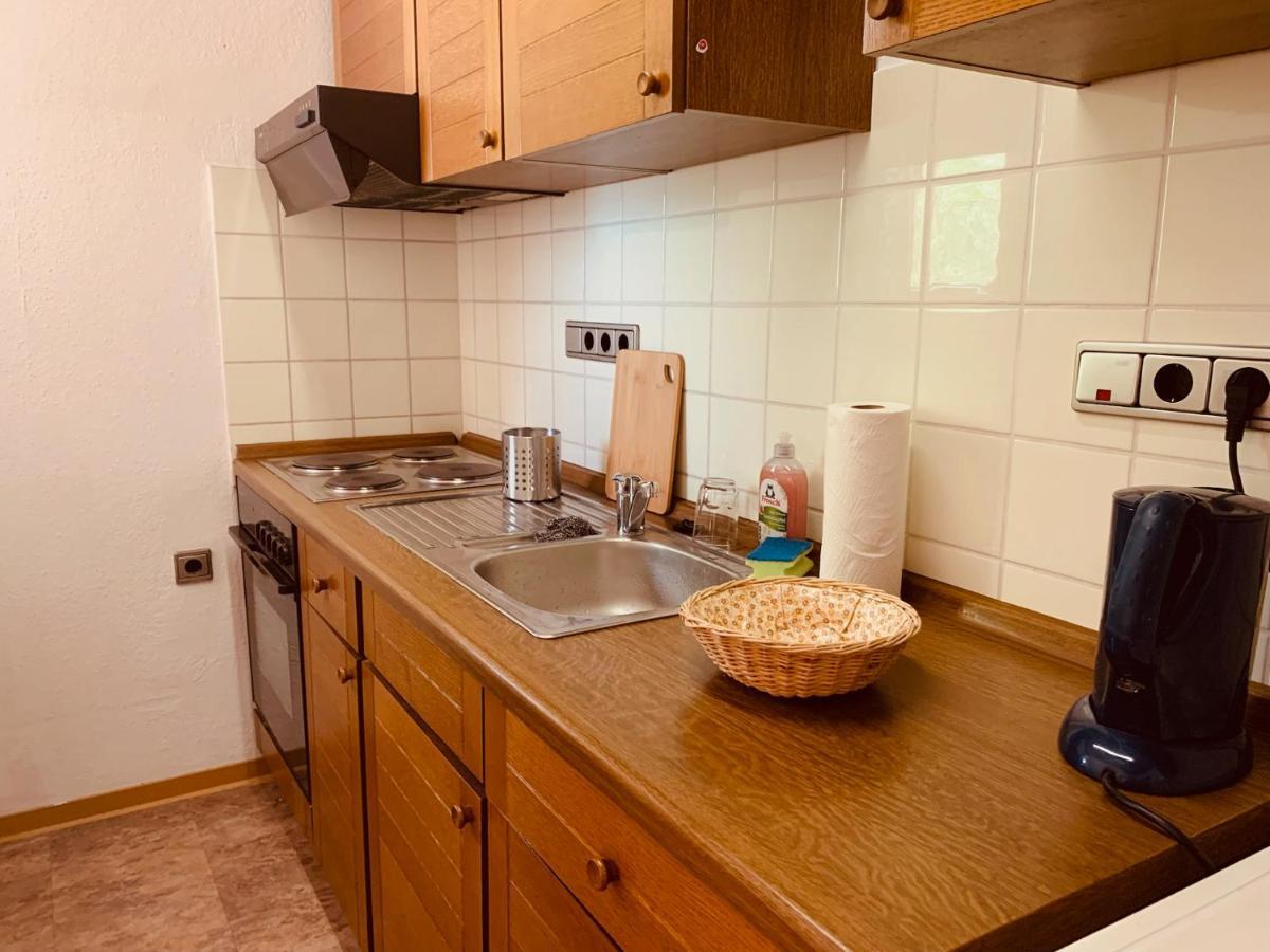 Gemuetliche Bergblick Apartment Bad Harzburg